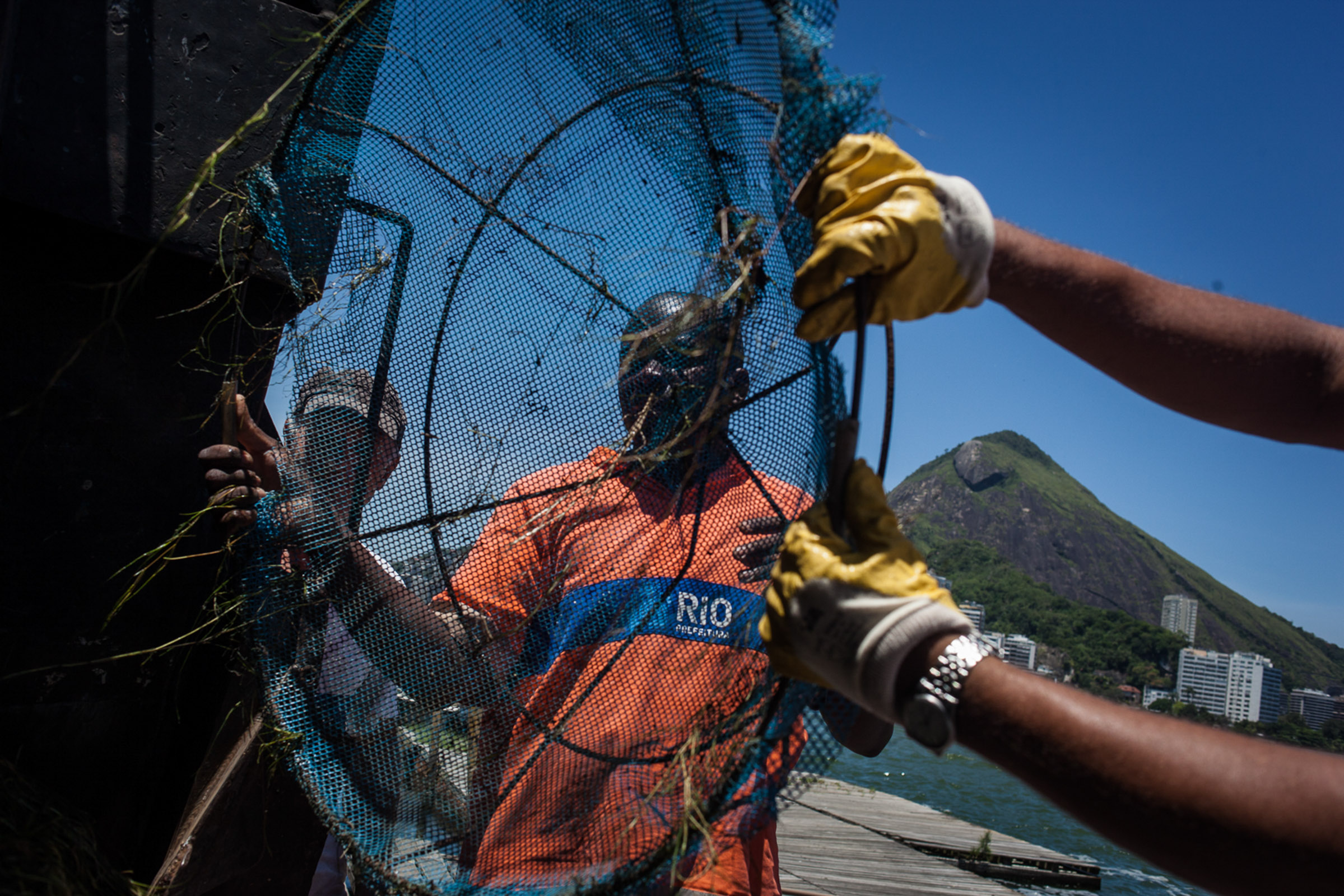 Rio de Janeiro, le 21 Novembre 2013. Tous les jours, les garis retirent les algues des bords de la lagune de Rio de Janeiro.

Rio de Janeiro, November 21, 2013. Every day, the garis remove algae from the edges of the lagoon in Rio de Janeiro.