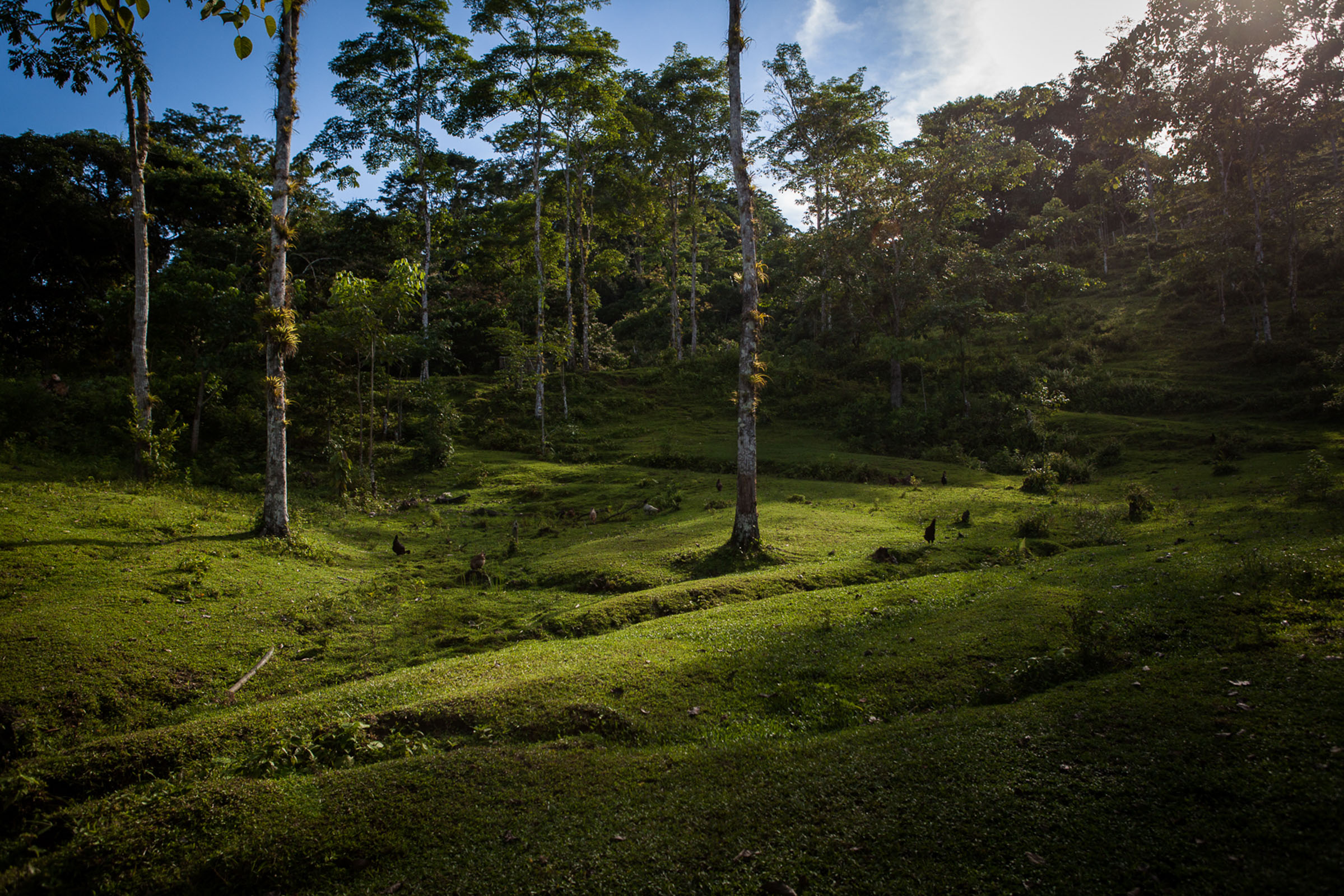 San Josecito, 23.08.2012.  Entouré de forêt luxuriante, la communauté vit à l'écart de la civilisation. A tout moment, des colonnes armées peuvent sortir de la jungle.

San Josecito, 23.08.2012. Surrounded by lush forest, the community lives away from civilization. At any time, armed groups can come out of the jungle.