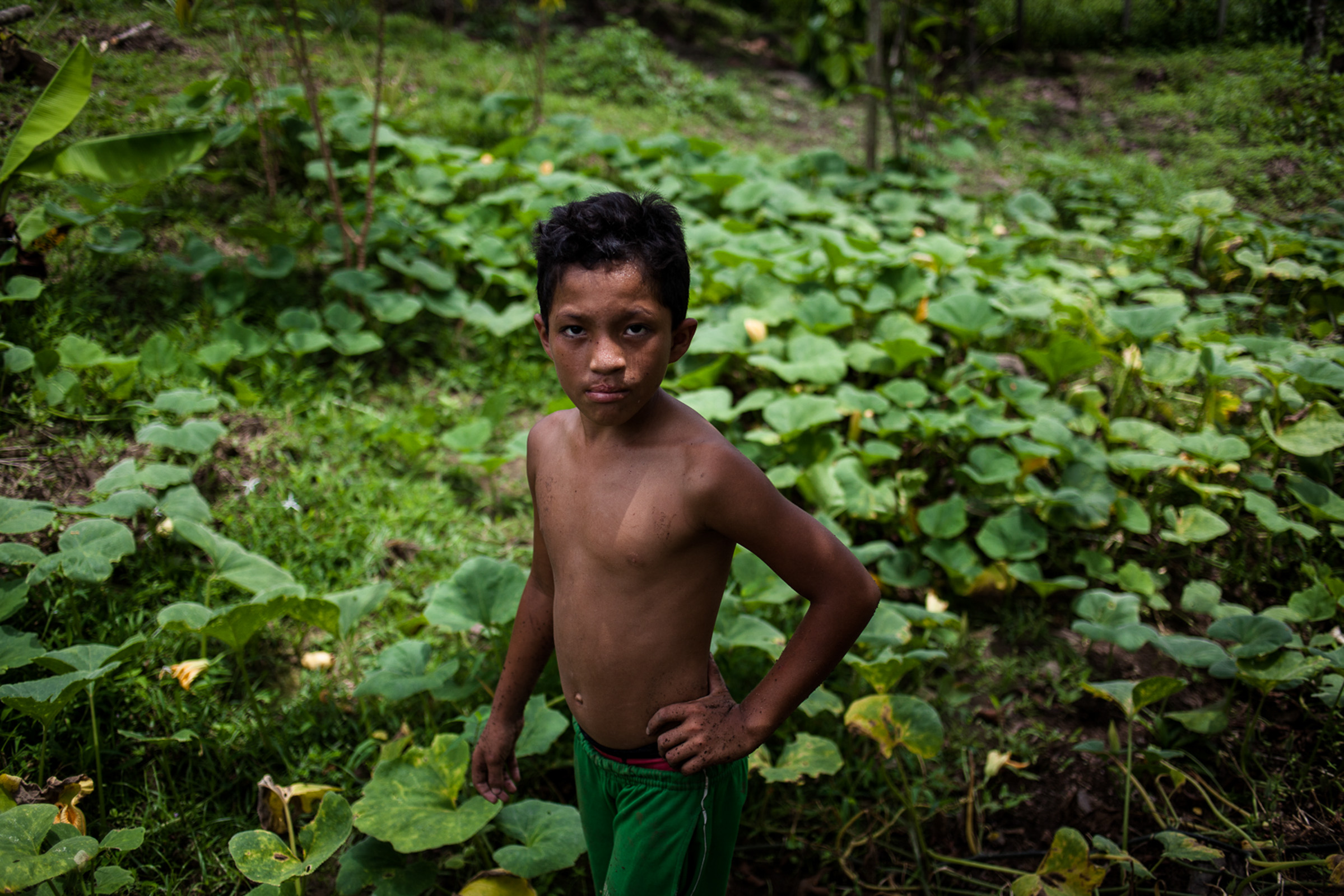 San Josecito, 23.08.2012.  Traumatisé d'avoir vu sa famille se faire massacrer, cet enfant vit depuis avec sa tante et souffre de troubles du comportement.

San Josecito, 08/23/2012. Traumatized by seeing his family massacred, the child has lived with his aunt and suffers from behavioral disorders.