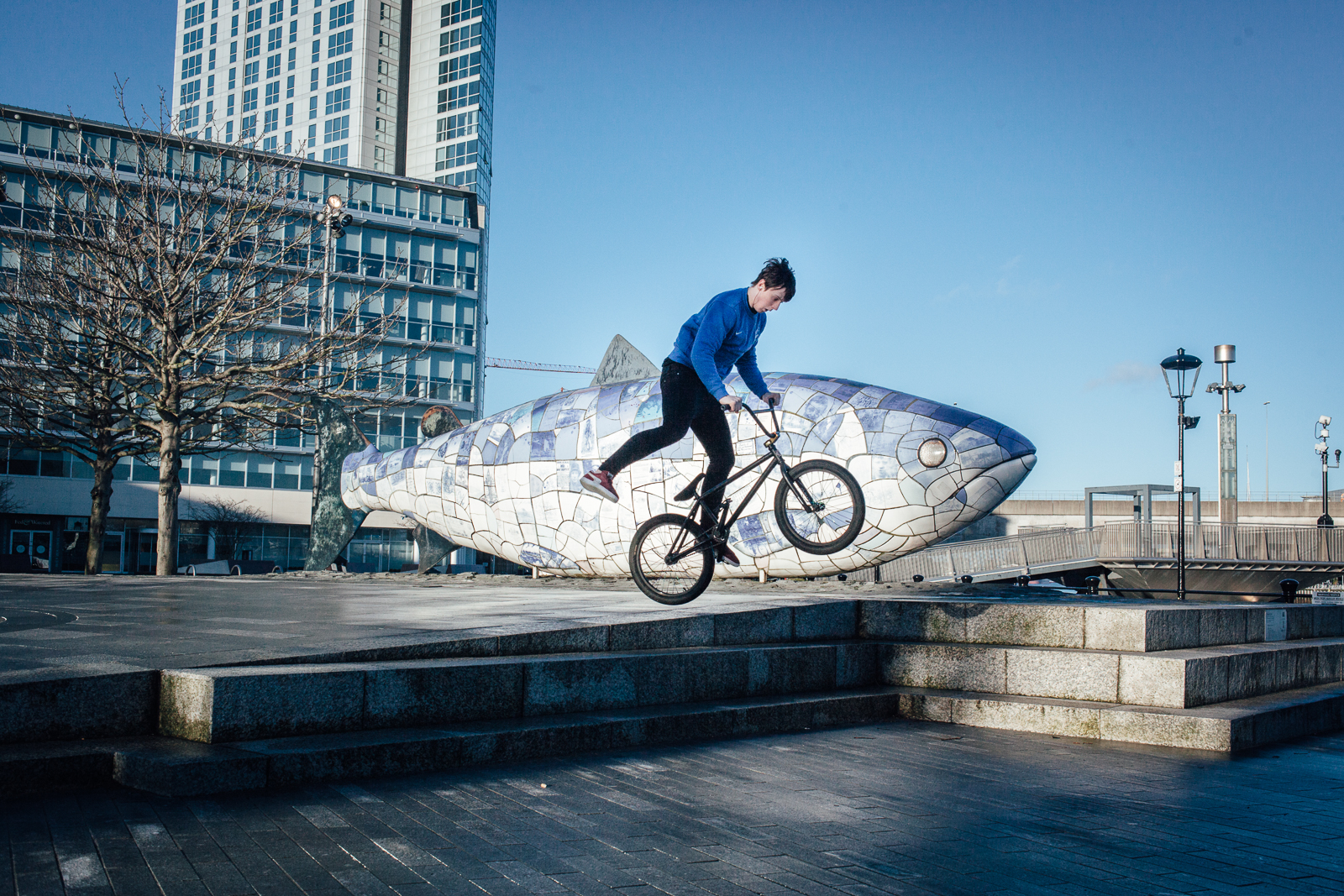 Belfast, le 26 février 2017. "The big fish : the salmon of knowledge", sculpture emblématique de la ville, réalisée par John Kindness en 1999.